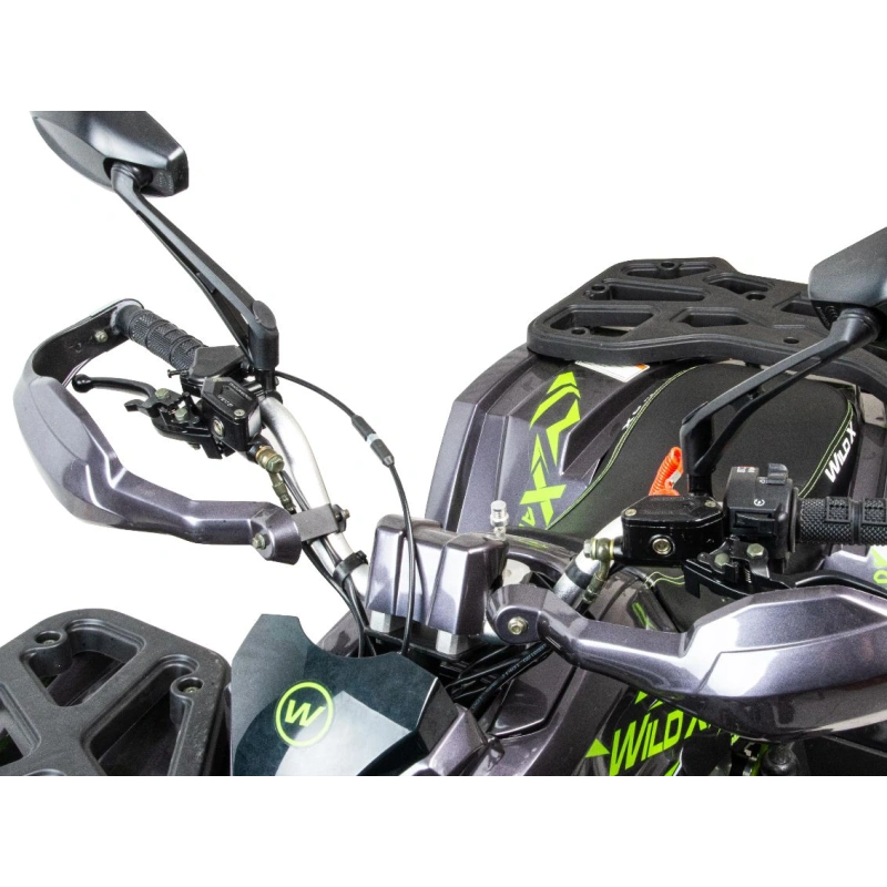 Квадроцикл MOTOLAND 125 Wild X Pro