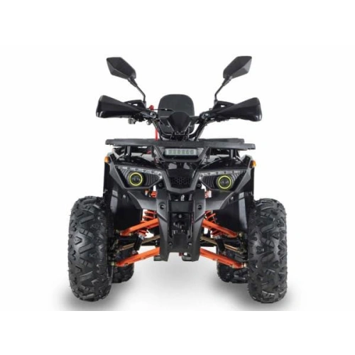 Квадроцикл GRIZZLY Aerox 125 2556389