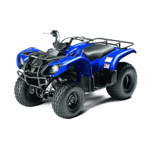 Квадроцикл GRIZZLY 125 2556394