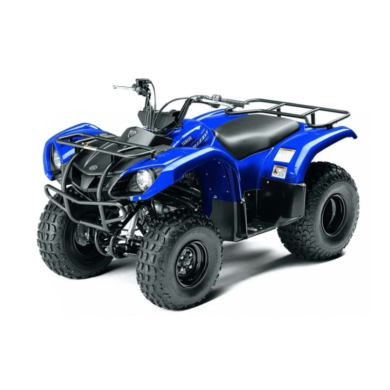 Квадроцикл GRIZZLY 125 2556394