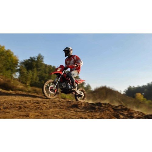 Питбайк IRBIS TTR 150