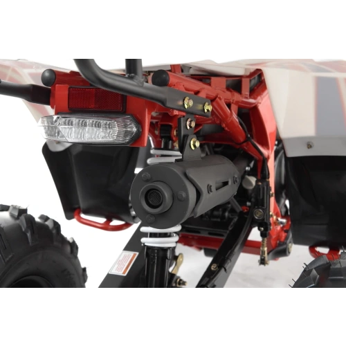 Квадроцикл MOTAX Grizlik A125