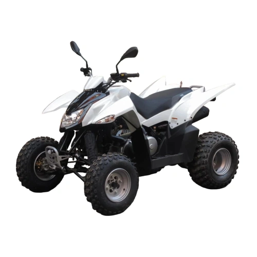Квадроцикл SYM QuadRaider 300 SS 2574818
