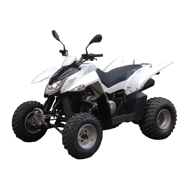 Квадроцикл SYM QuadRaider 300 SS 2574818