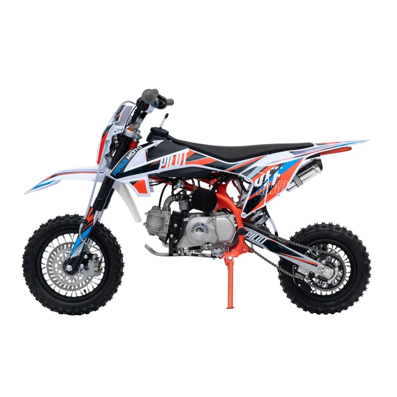 Питбайк REGULMOTO Pilot EA 12/10