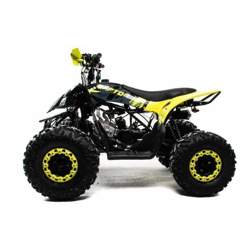 Квадроцикл MOTOLAND 125 Raptor