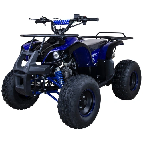 Квадроцикл AVANTIS Classic 8 125 2591924