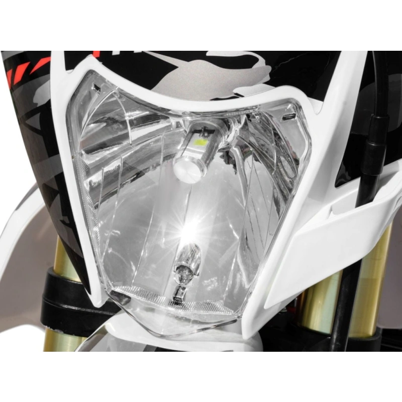 Мотоцикл кроссовый эндуро REGULMOTO Athlete 250 21/18 21166