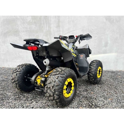 Квадроцикл FXMOTO Tank 125