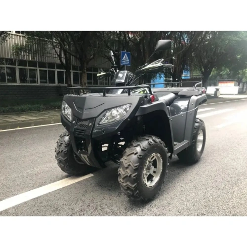 Квадроцикл RATO RT 250 ST LD 2545679