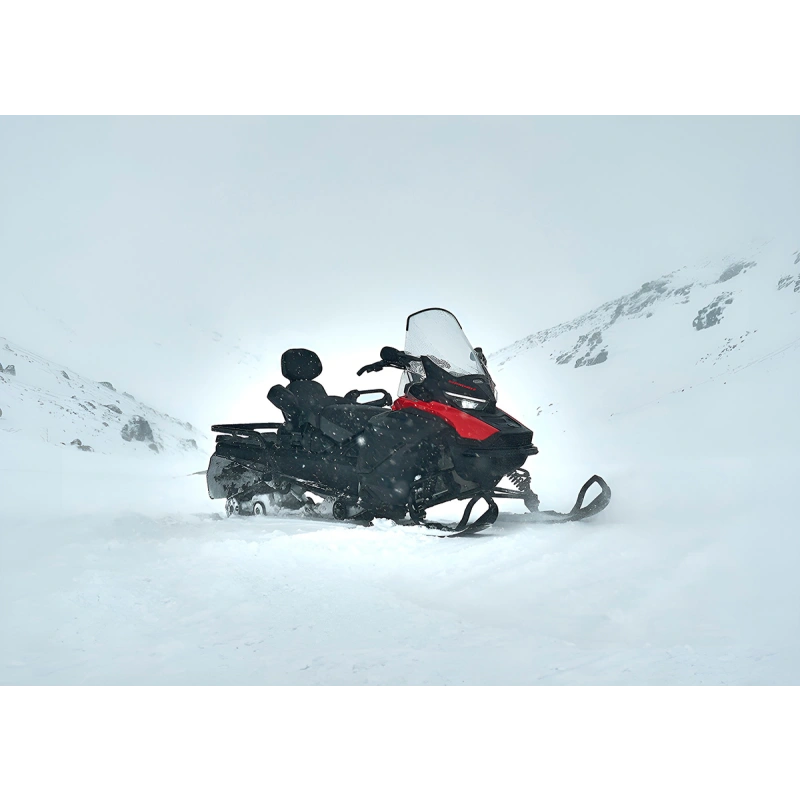Снегоход SHARMAX Ace 1000 SWT 2590681