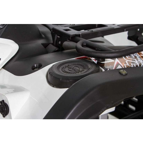 Квадроцикл BALTMOTORS Striker 700 EFI (ПСМ) 2546403