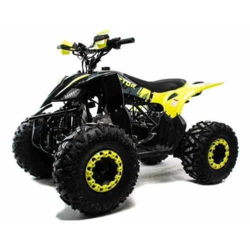 Квадроцикл MOTOLAND 125 Raptor