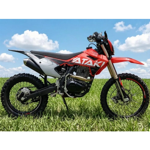Мотоцикл кроссовый эндуро ATAKI S004-R 300 (4T PR300) 21/18 (2024 г.)