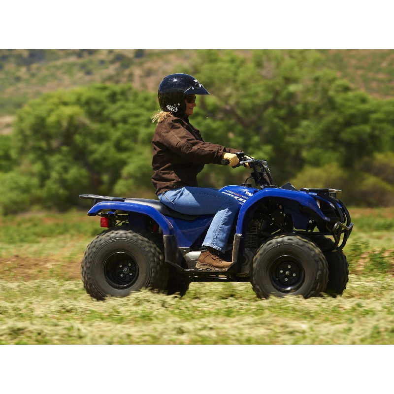 Квадроцикл GRIZZLY 125 2556394