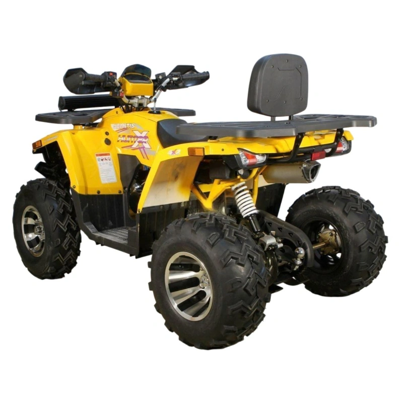 Квадроцикл AVANTIS H200 New Big Lux 2593844