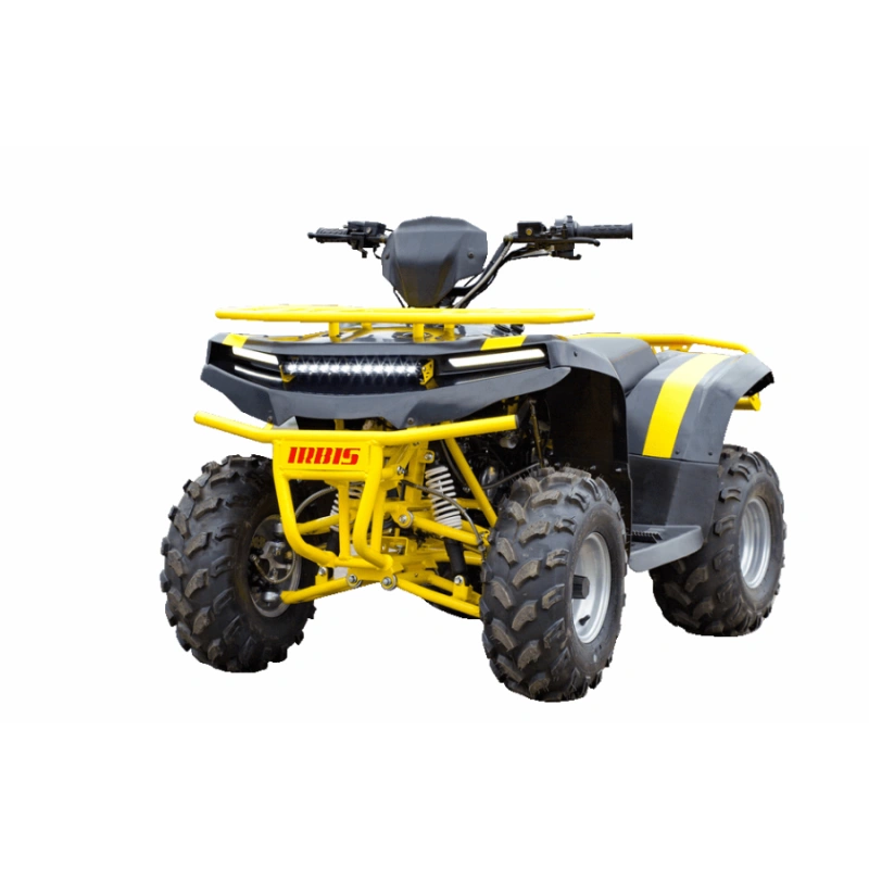 Квадроцикл IRBIS ATV 125 250039