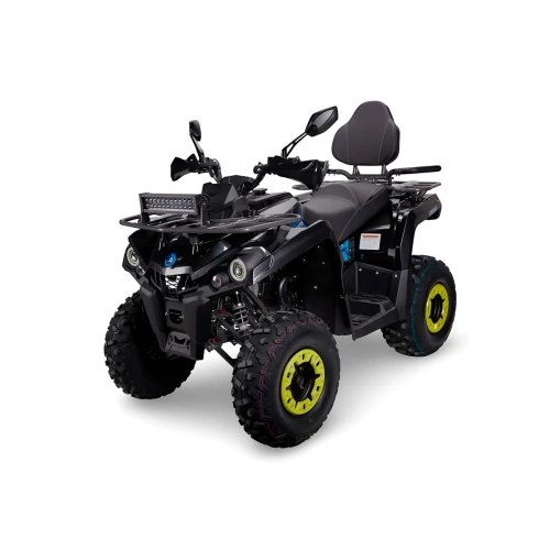 Квадроцикл AVANTIS Forester Long 200 Lux 2591524