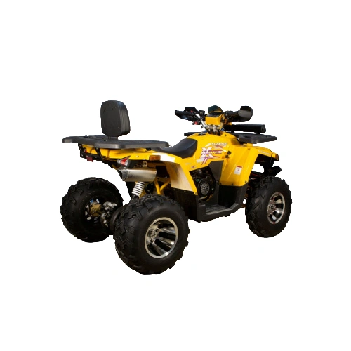 Квадроцикл AVANTIS Hunter 200 Big Premium (Баланс. вал) 2558636