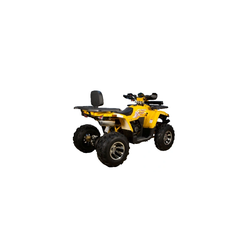 Квадроцикл AVANTIS Hunter 200 Big Premium (Баланс. вал) 2558636