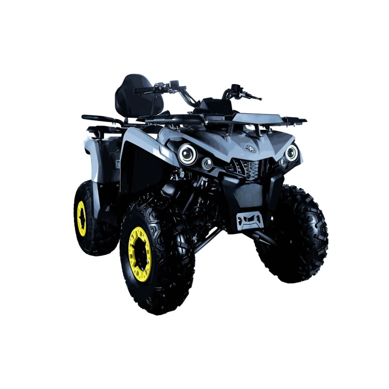 Квадроцикл AVANTIS Forester Long 200 Basic 2591531