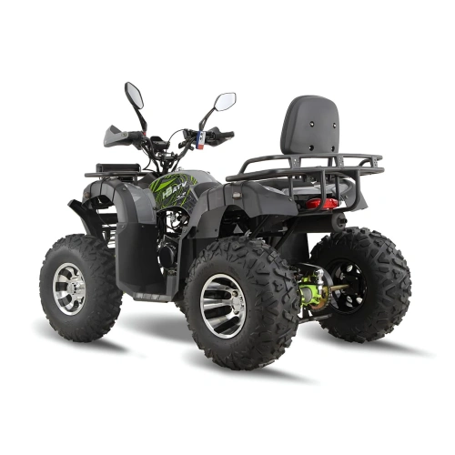 Квадроцикл GRIZZLY 200 Premium 2589193