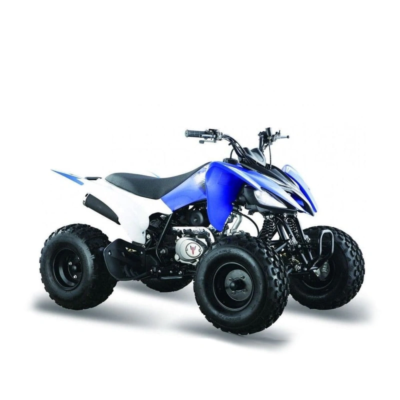 Квадроцикл ATV Pantera 125 2558191