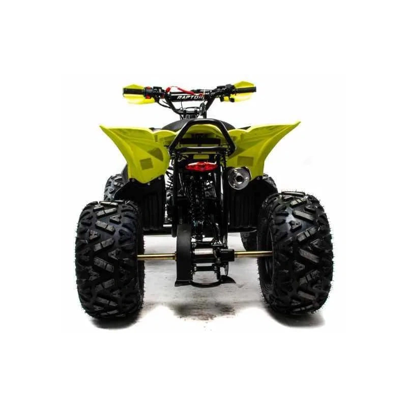 Квадроцикл MOTOLAND 125 Raptor 2591794