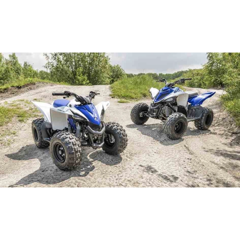Квадроцикл YAMAHA YFM90R (Raptor 90) 2546399