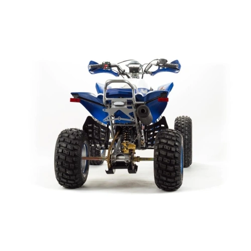 Квадроцикл MOTOLAND 250 Dakar 248053