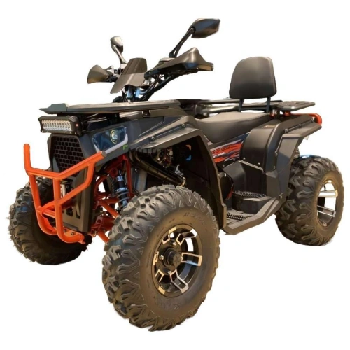 Квадроцикл FXMOTO Wasp 250 Lux 2593837