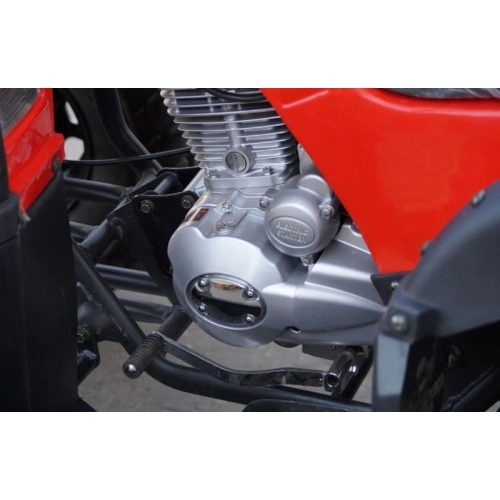 Квадроцикл STALKER 250 Lux