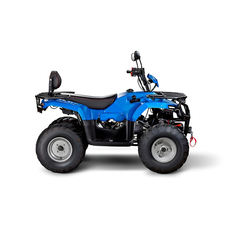 Квадроцикл IRBIS ATV200 LUX 2590746