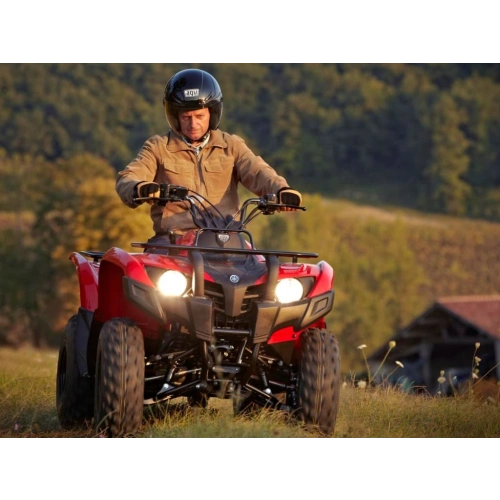 Квадроцикл YAMAHA Segway 300 2556753