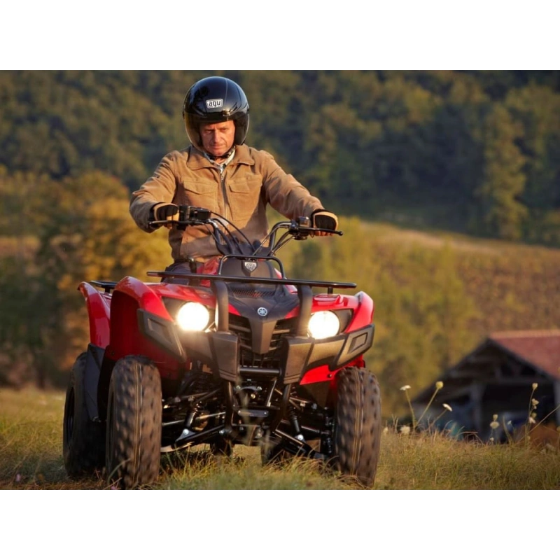 Квадроцикл YAMAHA Segway 300 2556753