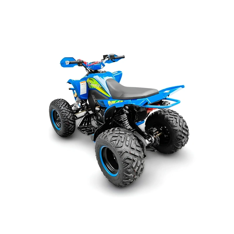Квадроцикл RACER Typhoon 250 2591520