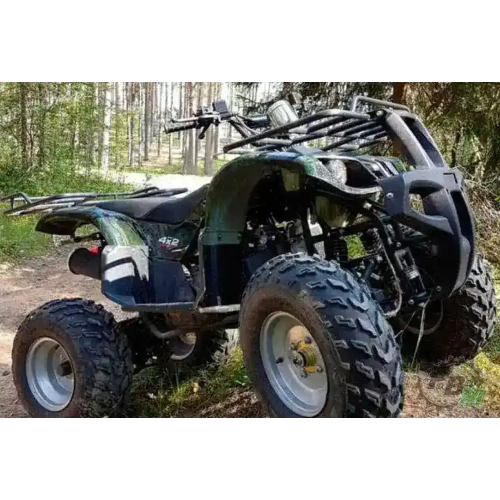 Квадроцикл WELS Thunder 200 2587275