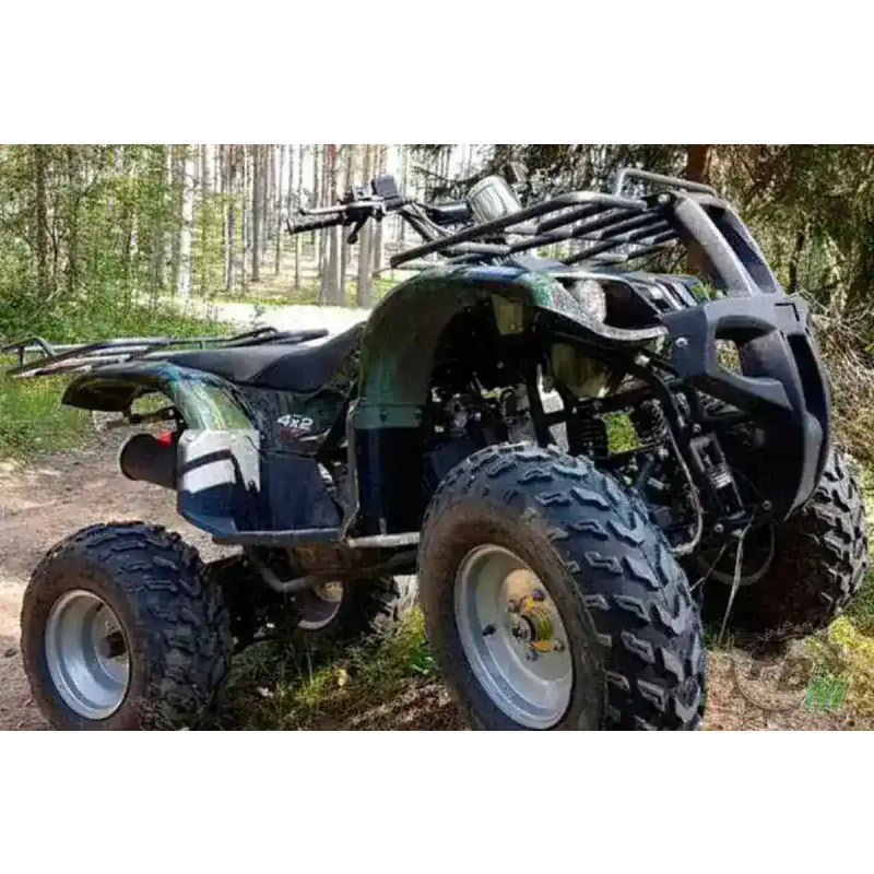 Квадроцикл WELS Thunder 200 2587275