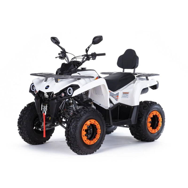 Квадроцикл MOTAX ATV Grizlik 200 Ultra 2546453