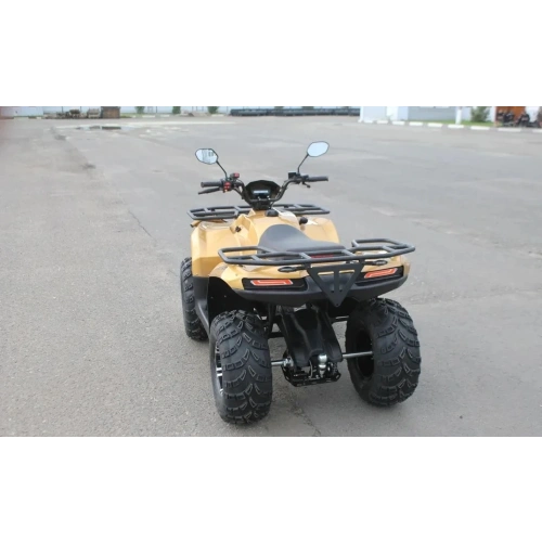 Квадроцикл IRBIS ATV 250 Premium 2586882