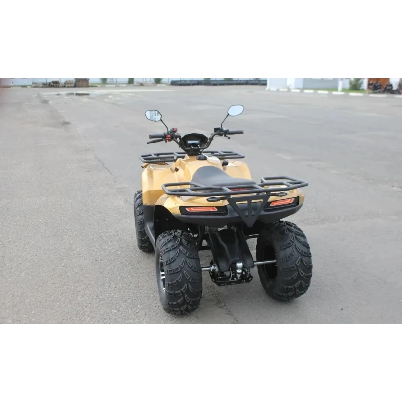 Квадроцикл IRBIS ATV 250 Premium 2586882