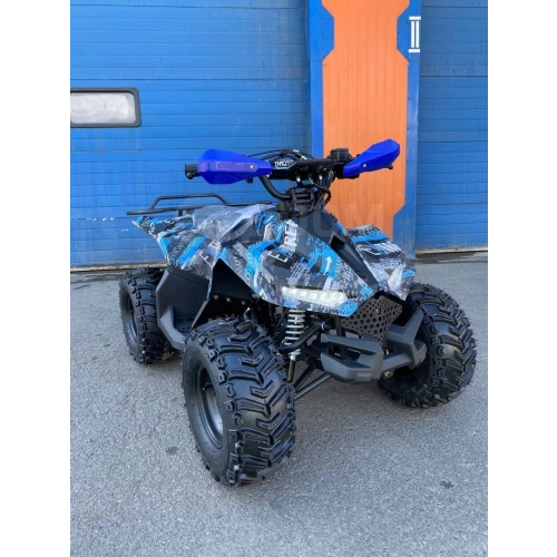 Квадроцикл RAPTOR New 125 2587031