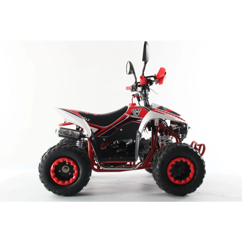 Квадроцикл MOTAX Mikro 110 New 2587633
