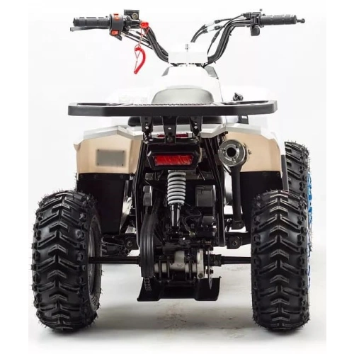 Квадроцикл MZ Eagle 110
