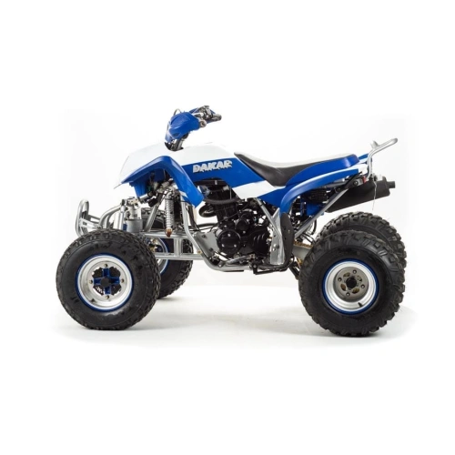 Квадроцикл MOTOLAND 250 Dakar 248053