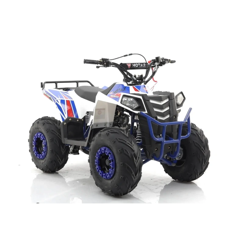 Квадроцикл MOTAX Grizlik A110