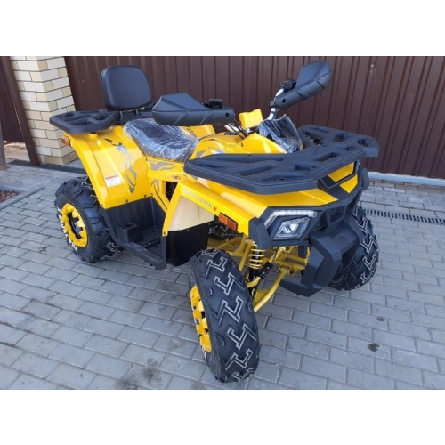 Квадроцикл MOTOLAND ATV 200 Wild Track