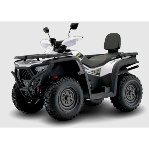 Квадроцикл BASHAN Kardan 300 Basic 2592117