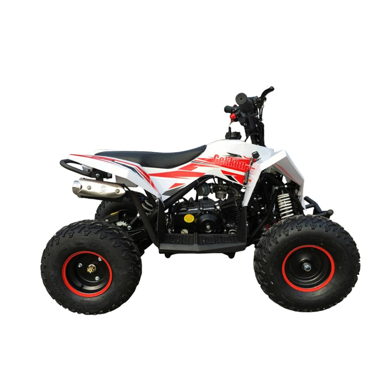 Квадроцикл MOTAX Gekkon 90cc 2587426