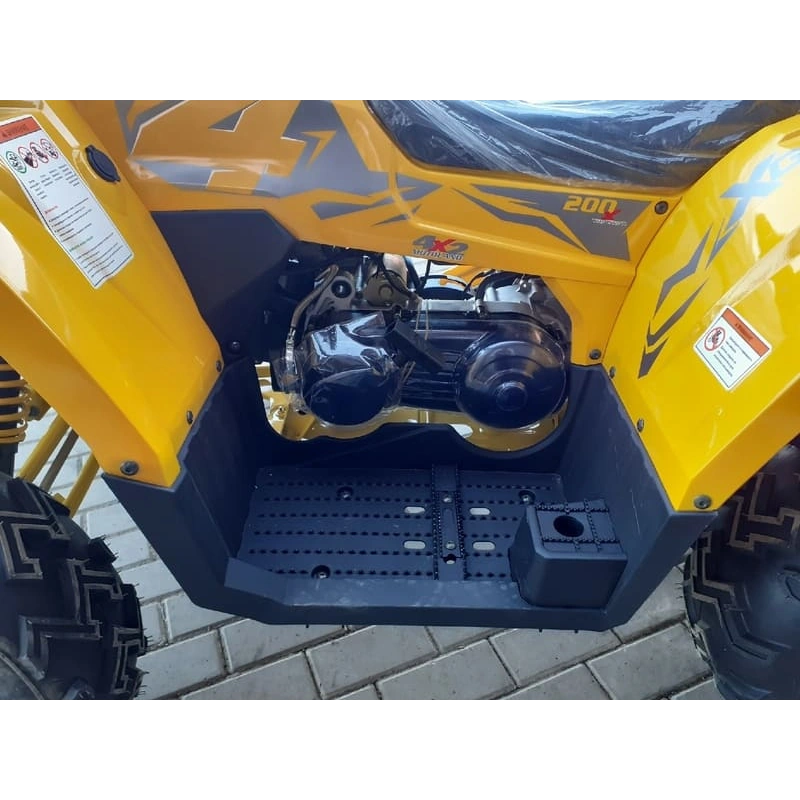 Квадроцикл MOTOLAND ATV 200 Wild Track 248051
